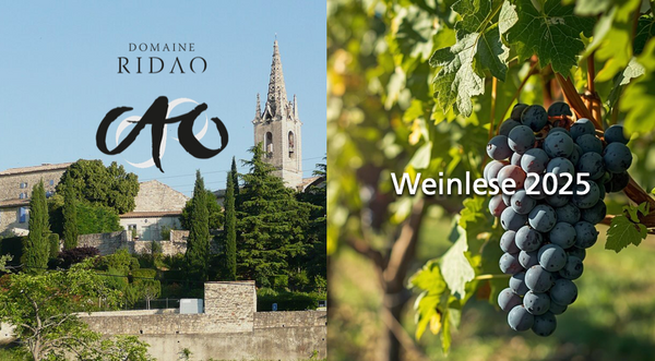 WeinGelage-News Oktober 2025