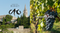 WeinGelage-News Oktober 2025