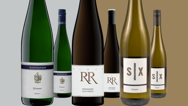 Rebsortenpaket Silvaner