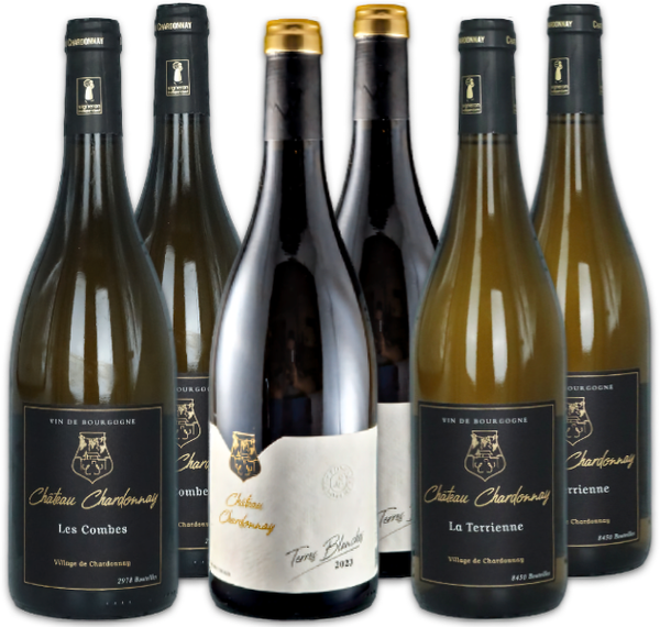 6 Flaschen vom Château Chardonnay
