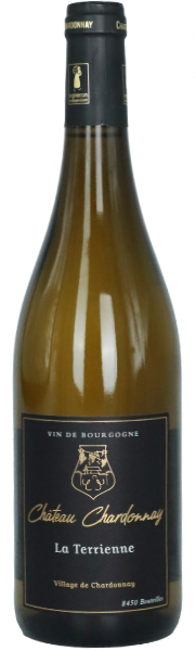 Chardonnay La Terrienne 2024, AOC Mâcon-Chardonnay, Château Chardonnay - WEIN DES MONATS